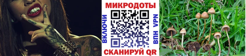 Псилоцибиновые грибы прущие грибы  Можайск 